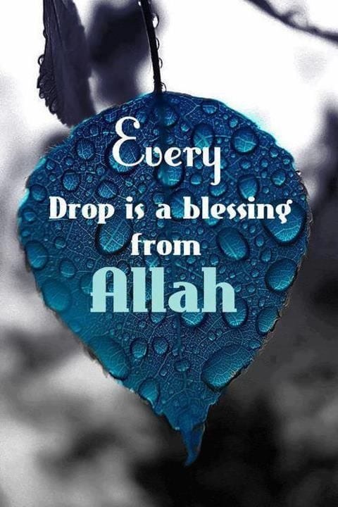 Best Allah Quotes and Sayings (48)