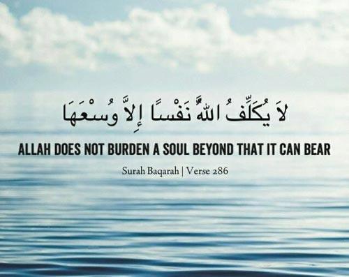 50 Best Islamic Quotes from Quran and Quran Sayings  