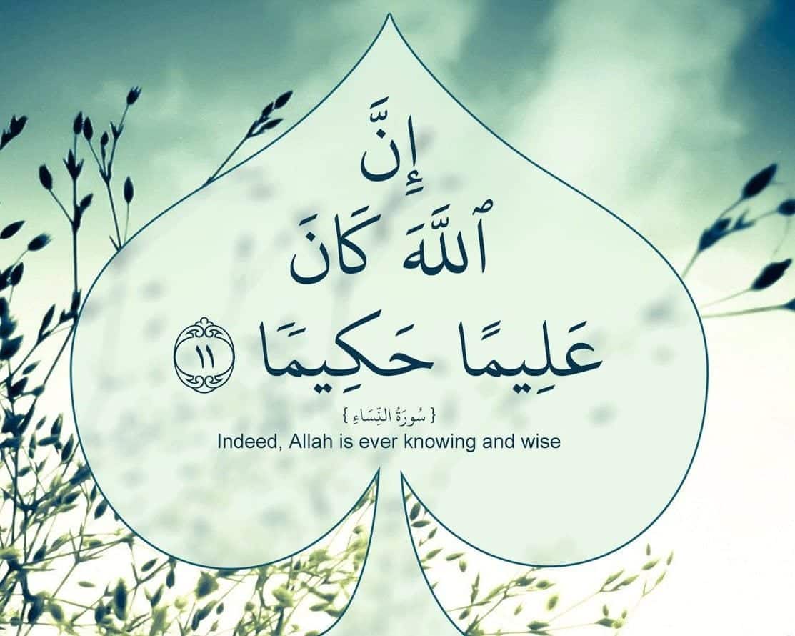 Best Allah Quotes and Sayings (13)