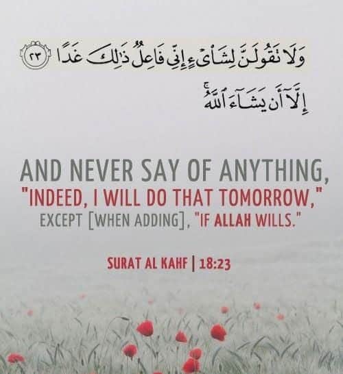 Allah's Will