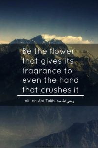 Hazrat Ali Quotes - 20 Best Sayings of Imam Mola Ali  