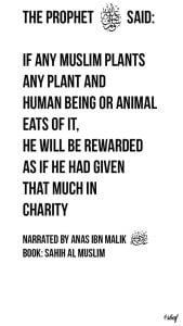 Inspirational Islamic Quotes About Charity (18)
