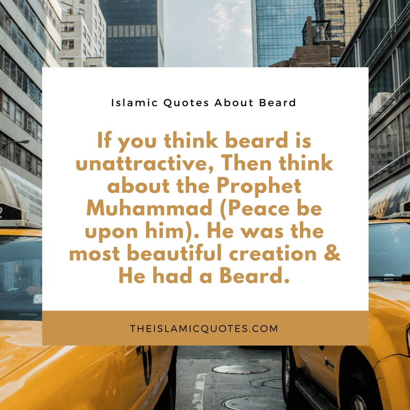 Best Beard Quotes (23)
