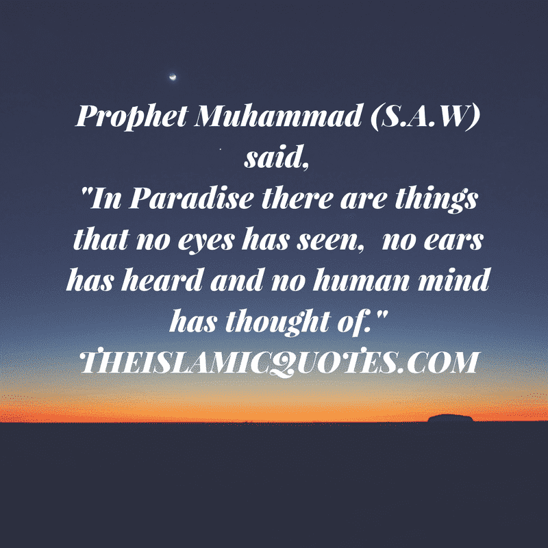Quotes of Prophet Muhammad (S.A.W)