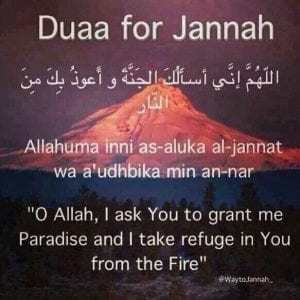 35+ Islamic Quotes On Paradise (Jannah)  