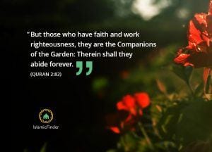 35+ Islamic Quotes On Paradise (Jannah)  