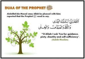 Zina according to Islam (14)