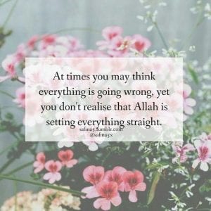 Inspirational Islamic Quotes For Crucial Times (22)