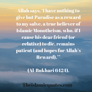 Sabr in Islam-30 Beautiful Islamic Quotes on Sabr & Patience  