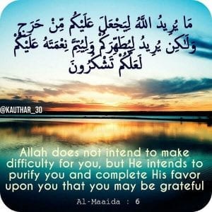 Gratitude Quotes - 23 Islamic Quotes About Being Grateful  
