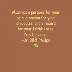 Inspiring Quotes By Bilal Philips (14)