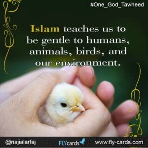 20 Islamic Quotes On Kindness To Animals  