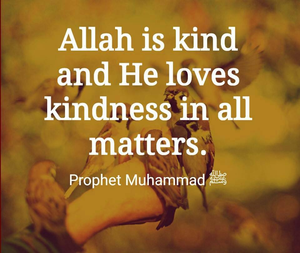 Kindness In Islam - 10 Best Islamic Quotes on Kindness  