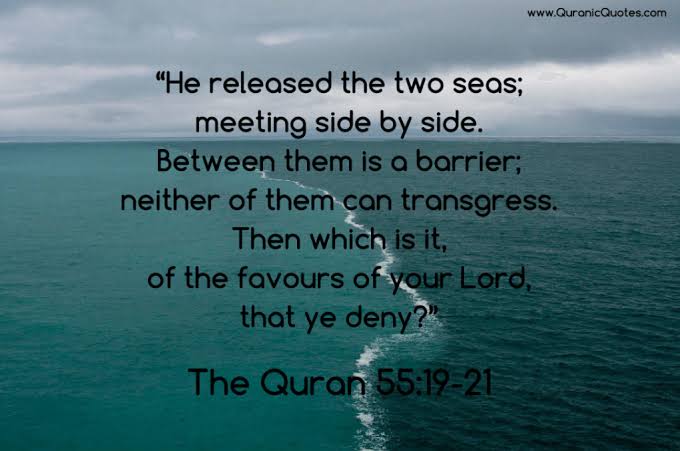 Lessons from surah rehman