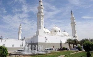 8 Best Things to do in Medina for a Memorable Trip  