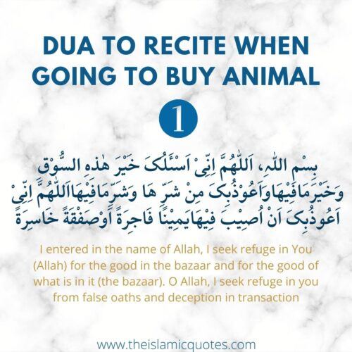 12 Things You Need to Know About Eid ul Adha & Qurbani Rules  