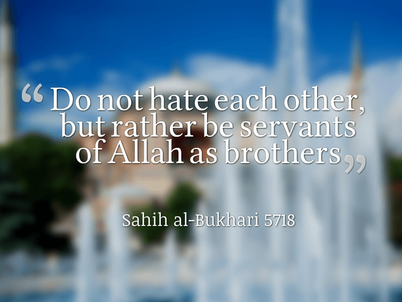 Best Humanity Quotes in Islam (17)