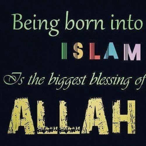 Proud to be Muslim Quotes (28)