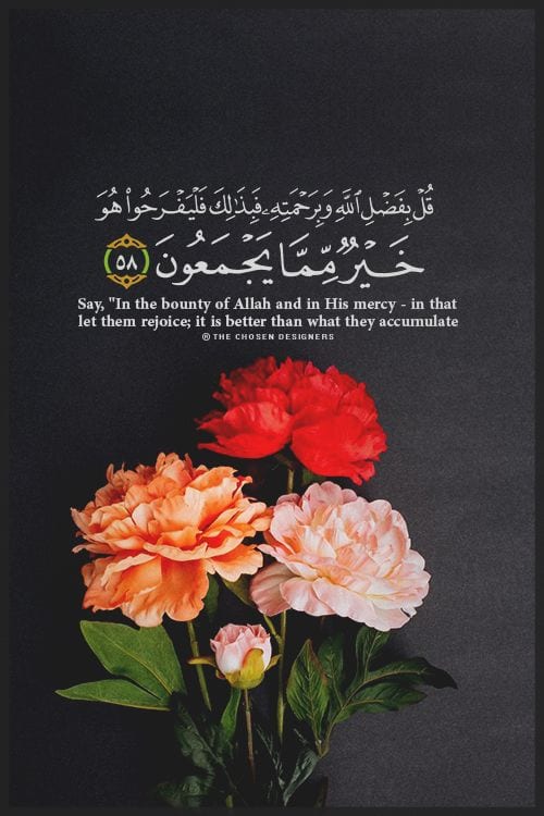 50+ Inspirational Islamic Quran Quotes / Verses In English  
