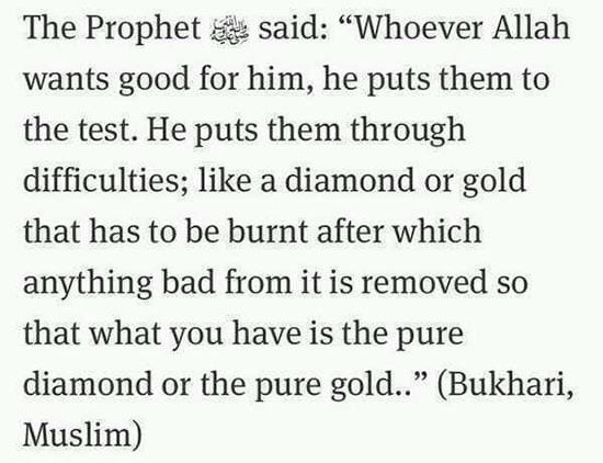 Inspirational Quotes of Prophet Muhammad (P.B.U.H) (45)