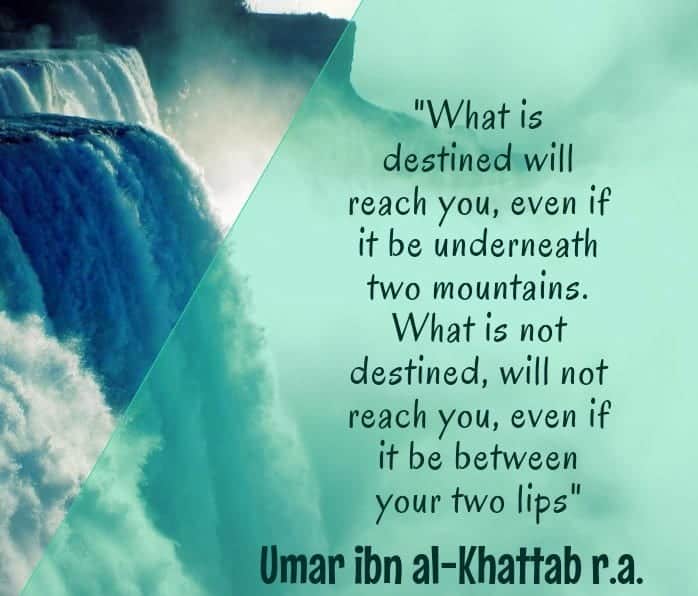 Umar Bin Khattab Quotes (27)
