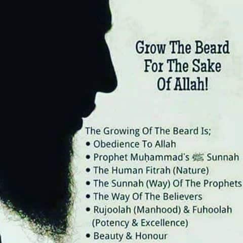 20+ Islamic Quotes on Beards & Importance of Beards in Islam  