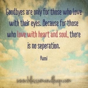 Rumi Beautiful Quotes About Love. Life & Friendship (4)