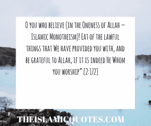 Islamic Quotes on thanking Allah (9)