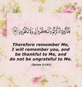 Islamic Quotes on thanking Allah (23)