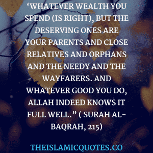 Wealth according to Islam (6)