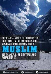 Islamic Quotes on thanking Allah (24)