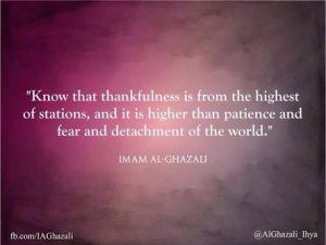 Islamic Quotes on thanking Allah (15)