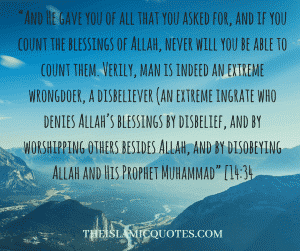 Islamic Quotes on thanking Allah (8)