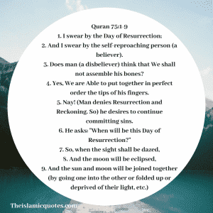Judgement day quotes In Islam (36)