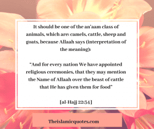 30 Islamic Quotes on Qurbani/Sacrifice and Eid ul Adha  