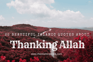 islamic quotes about thanking allah