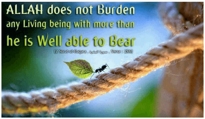 Illness From Islamic Perspective & 30 Islamic Quotes on Sickness