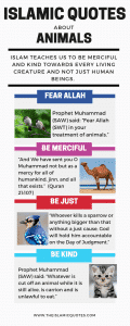 Islamic Quotes About Kindness Towards Animals (14)