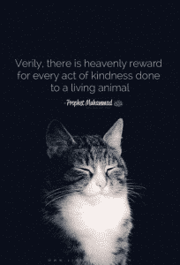 Islamic Quotes About Kindness Towards Animals (13)