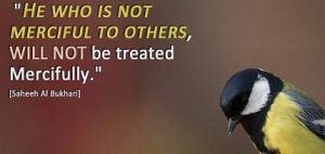 Islamic Quotes About Kindness Towards Animals (2)