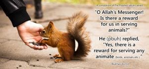 Islamic Quotes About Kindness Towards Animals (11)