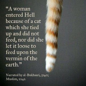 Islamic Quotes About Kindness Towards Animals (10)