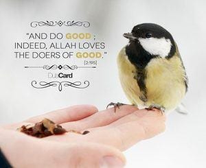 Islamic Quotes About Kindness Towards Animals (9)