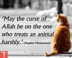 Islamic Quotes About Kindness Towards Animals (8)