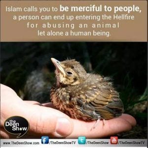 Islamic Quotes About Kindness Towards Animals (7)