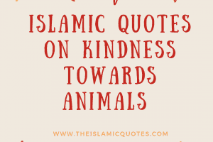 Islamic Quotes About Kindness Towards Animals (1)