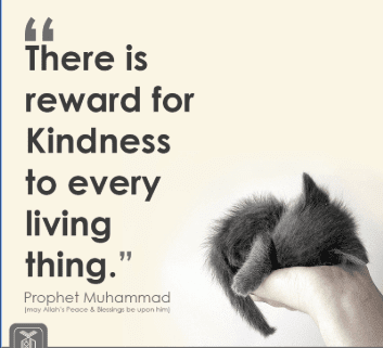 Islamic Quotes on Kindness (10)