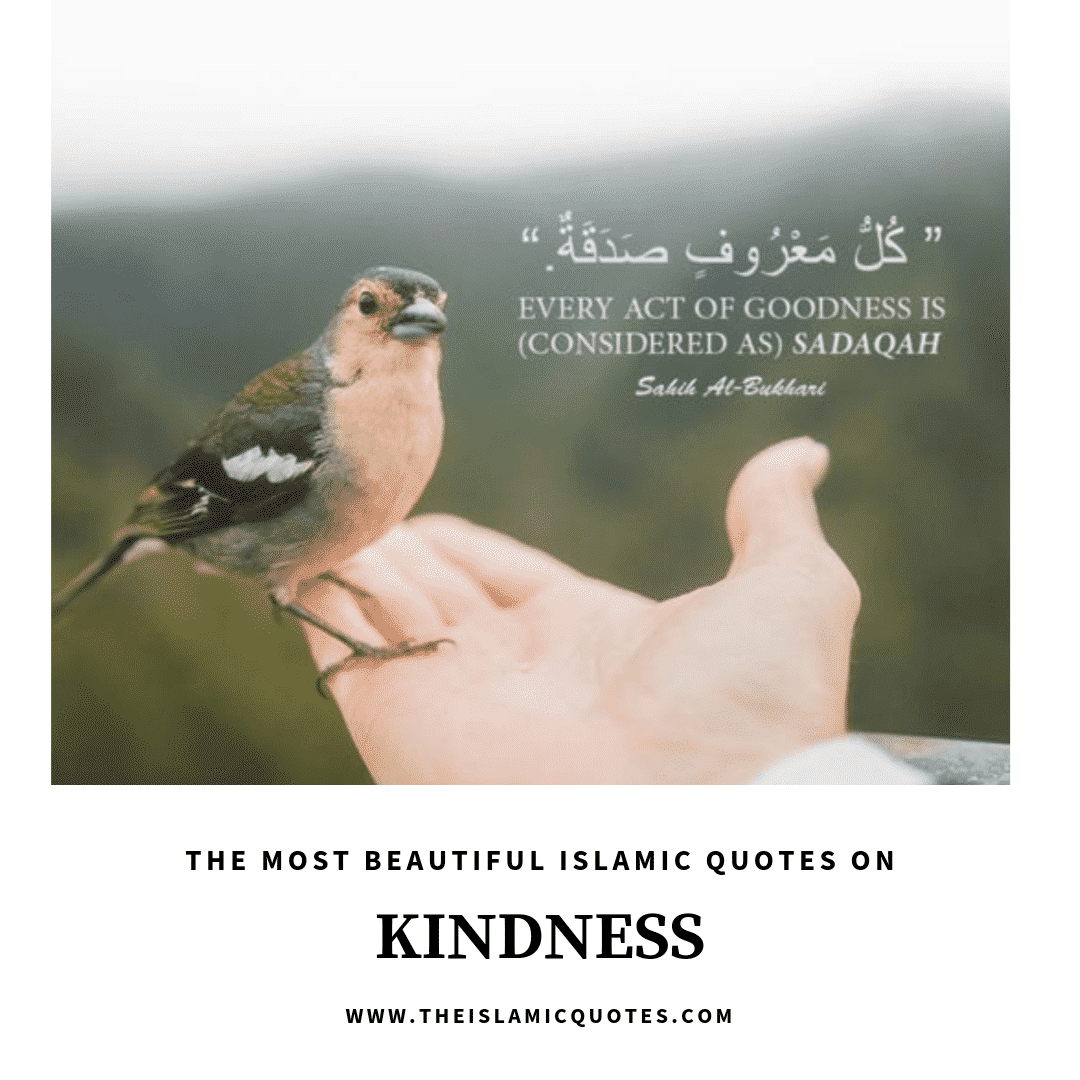 islamic quotes on kindness