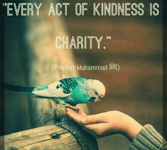 Islamic Quotes on Kindness (5)