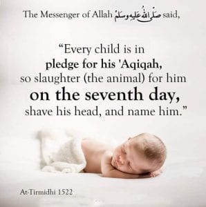 Raising children in islam (11)